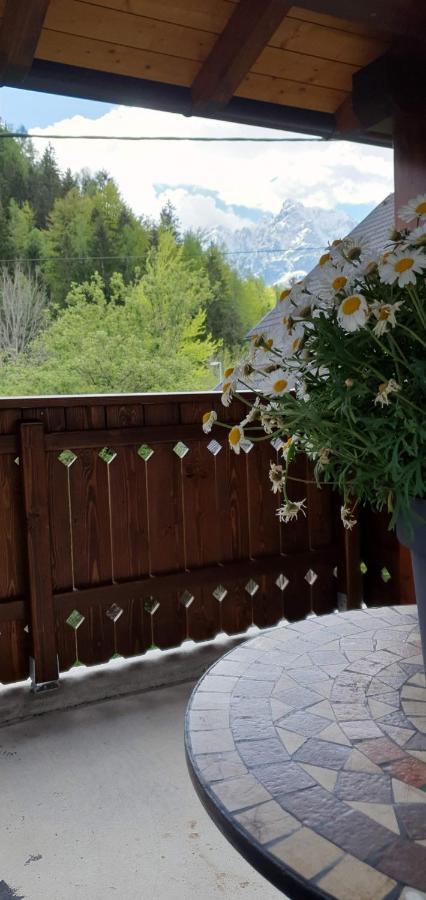 Apartment Alpska Astra Kranjska Gora Exteriör bild